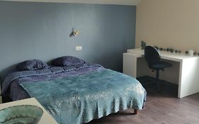 Le 135, Logement Spacieux Entre Ville Et Volcans